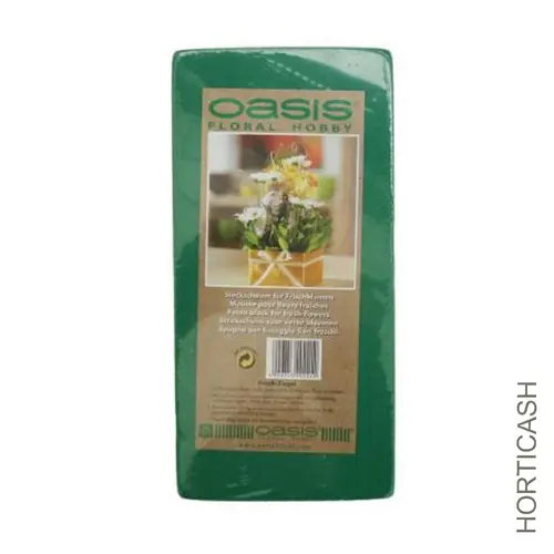 Pour l’univers du jardin：Brique de mousse mouillable Oasis Hobby - 23 x 11 x 7,7 cm