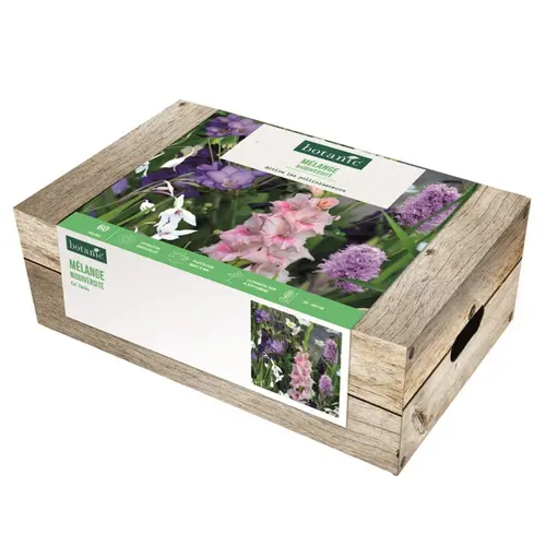 Nature maison：Cagette de 60 bulbes pour massif biodiversité botanic®