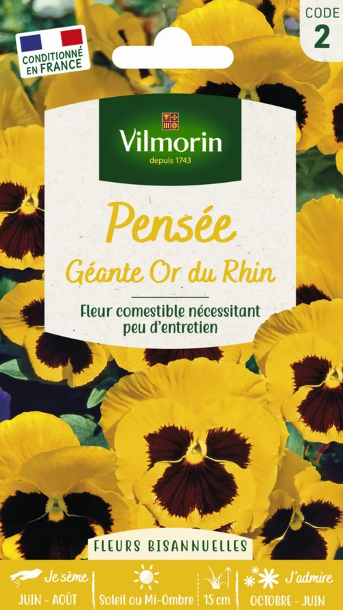 Confort pour le jardin:Pensée Géante Or du Rhin Vilmorin - graines à semer