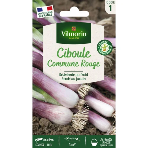 Solution extérieure：Sachet de graines de ciboule commune rouge