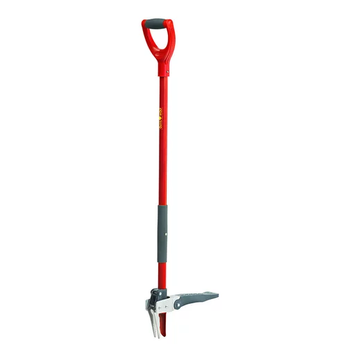 Idée au jardin：Echardonnoir rouge Wolf 87 cm