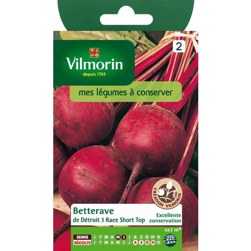 Côté végétal：Graines de Betterave de détroit short top Vilmorin - graines à semer