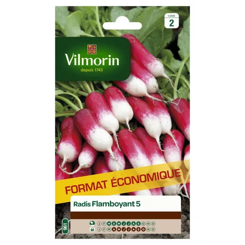 Maison & jardin:Radis flamboyant 5 Vilmorin - graines à semer