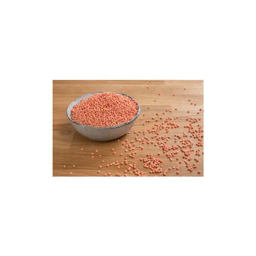 La solution pour vos extérieurs:Lentilles corail - Prix au kilo