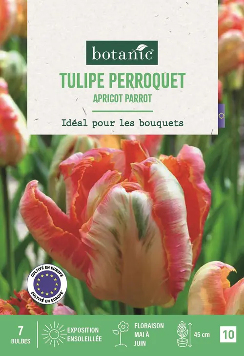 Au quotidien：Bulbes de fleurs Tulipe perroquet Apricot Parrot rose et abricot botanic® - 7 bulbes