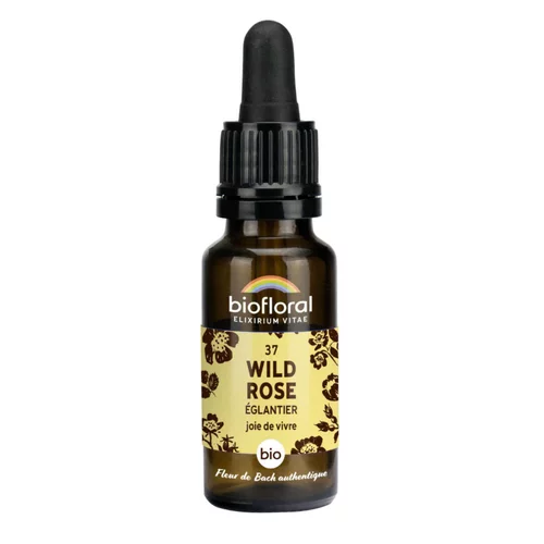 Pensé pour vos extérieurs:Élixir n°37 Biofloral d’églantier en flacon de 20 ml