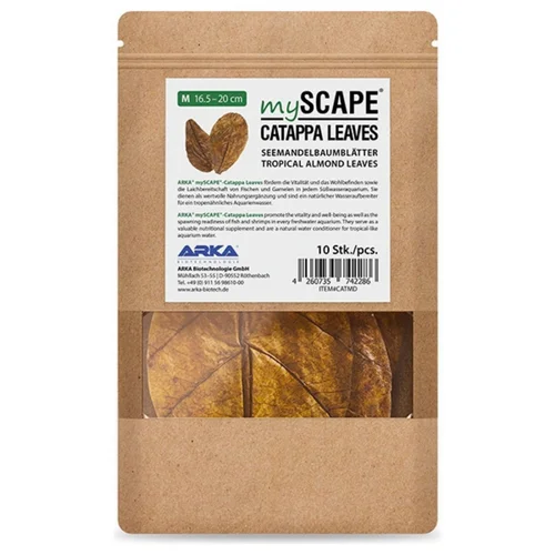Équipement extérieur：Feuilles de Badamier naturelles taille M, ARKA mySCAPE-Catappa - 10 pièces de 16.5/20 cm