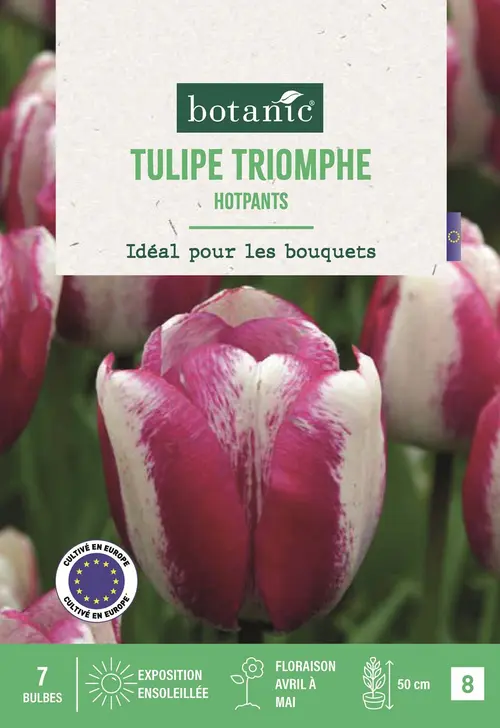 Jardin et solutions:Bulbes de fleurs Tulipe triomphe Hotpants blanc et rose botanic® - 7 bulbes