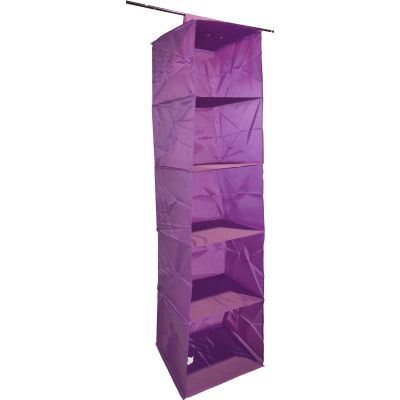 Organisateur de penderie en pvc 5 cases will b (Prune)