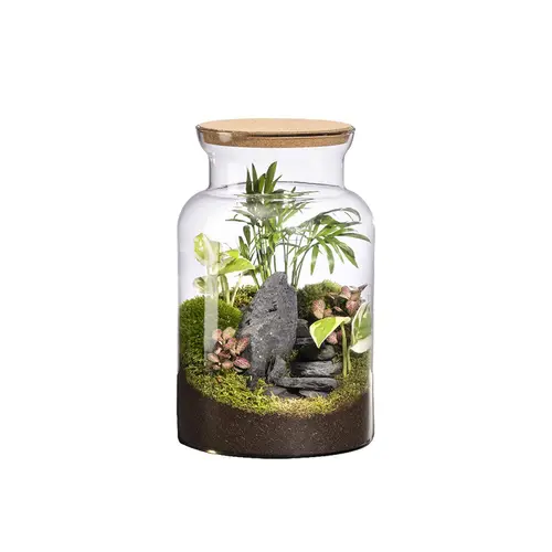 Une idée pour le jardin：Terrarium autonome Jungle Landscape botanic® - taille M