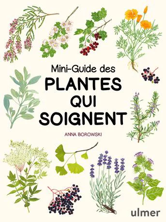 Jardin à organiser:Livre Mini-Guide des plantes qui soignent aux Éditions Ulmer - 144 pages