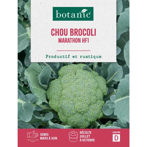 Déco jardin：Graines de choux brocolis marathon HF1 botanic® - graines à semer
