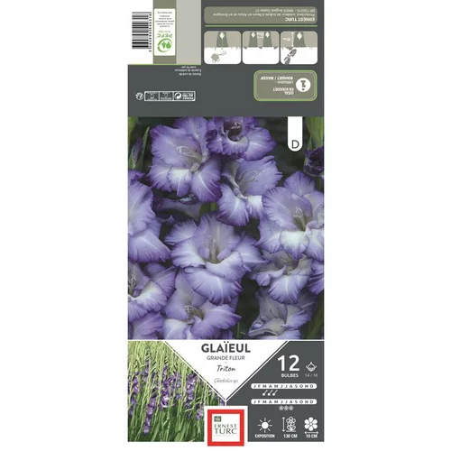 Sélection nature:Glaïeul Triton bleu lavande Ernest Turc - 12 bulbes