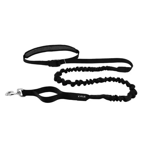 Pour aménager le jardin：Laisse Ceinture Otium Extension totale 2,9 m Noir