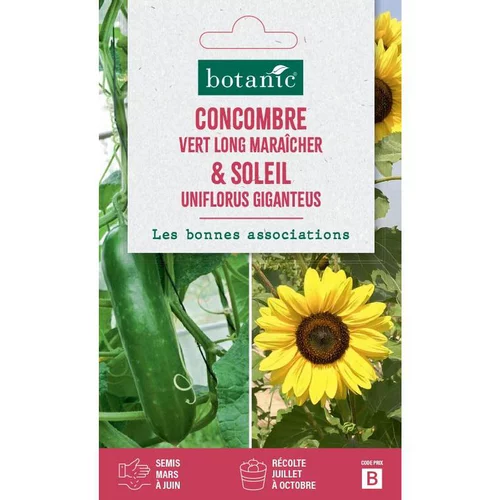 Jardin utile：Duo de graines concombre vert long maraîcher et graines de tournesol (soleil uniflorus gigan) botanic® - graines à semer
