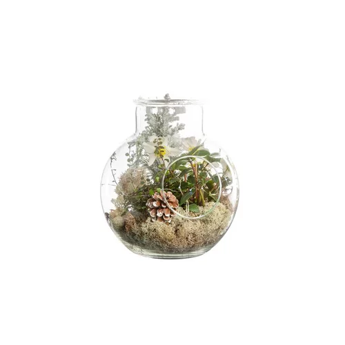 Une solution adaptée à l’extérieur：Hellebore Top Point Terrarium 25Cm