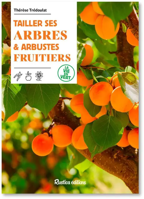 Essentiel extérieur:Livre "Tailler ses arbres et arbustes fruitiers" Éditions Rustica