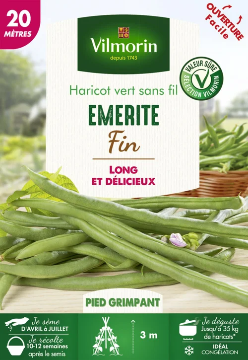 Solution extérieure：Graines de Haricot vert sans fil Emerite fin Vilmorin - graines à semer