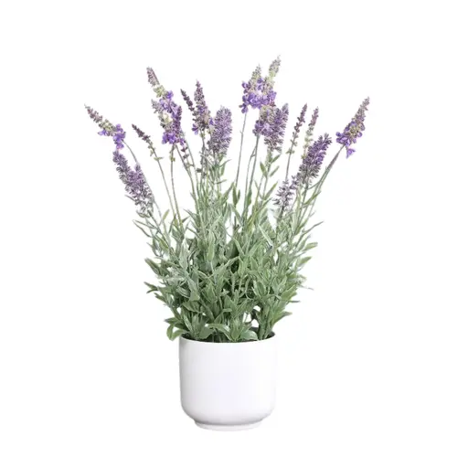 Solution nature:Lavande artificielle violette en pot blanc - 47 cm