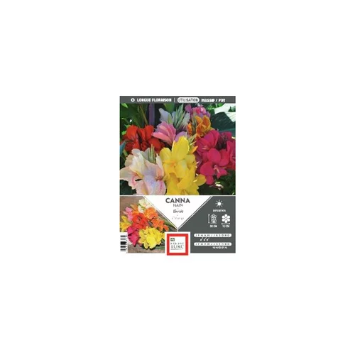 Simple dehors:Canna nain en mélange Ernest Turc - bulbes vrac