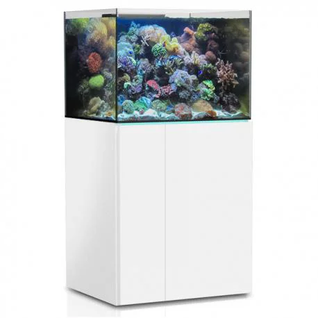 Inspiration jardin:Aquarium de 245 litres avec son meuble et sa cuve de filtration d'un volume de 55 litres