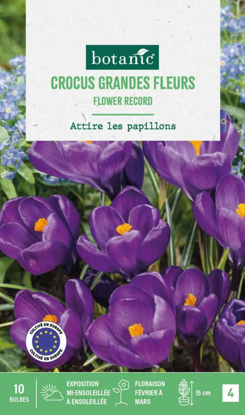 Idée utile:Crocus en mélange botanic® - 10 bulbes