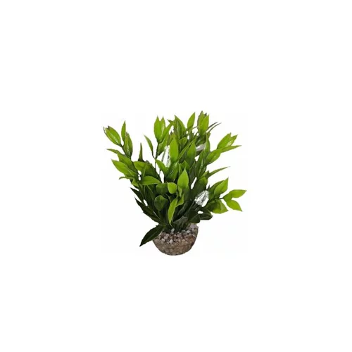 Côté jardin：Dracaena vert en plastique 13 cm