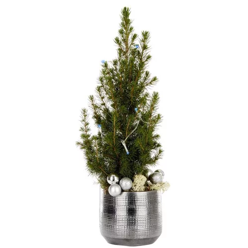 Jardin facile:Picea Conica pot gris + guirlande LED - Le pot