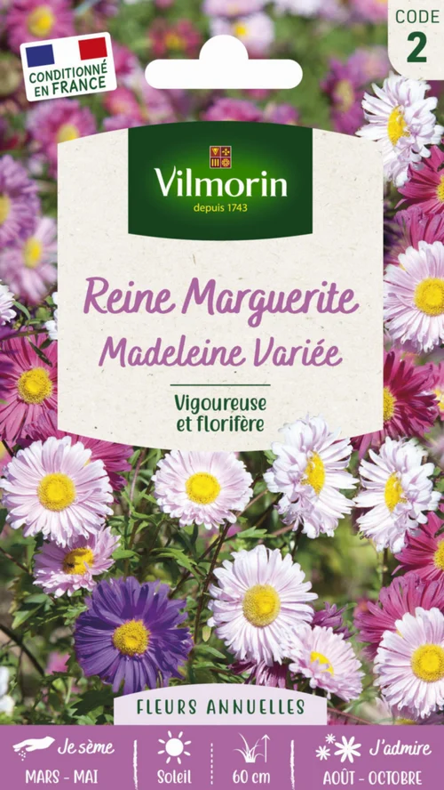 Adapté à vos extérieurs：Graines de Reine Marguerite Madeleine variée Vilmorin - graines à semer