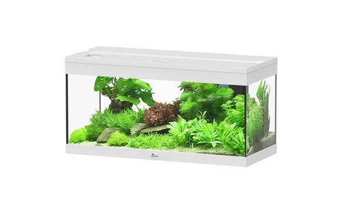 Idée jardin：Aquarium Prestige 80 coloris blanc Auxine - 85 L