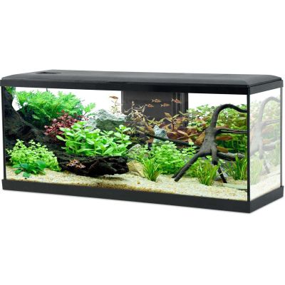 Kit aquarium Tana 120L (Noir)