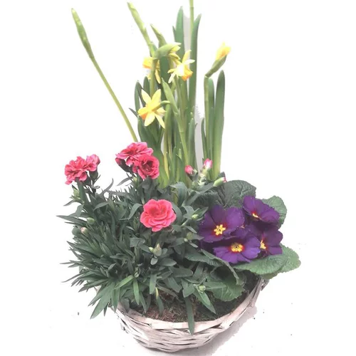 Facile jardin：Panier Printanier - Le panier