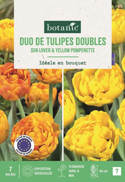 Pour plus de praticité au jardin:Bulbes de fleurs Tulipe double duo yellow orange jaune orange botanic® - 7 bulbes