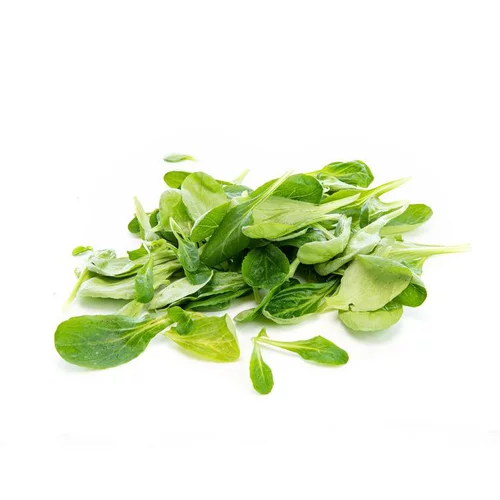 Espace vert facile：Salade mâche bio de France - Prix au kg