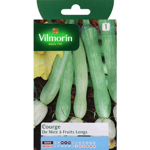 Côté extérieur：Graines de courge de Nice fruit long Vilmorin - graines à semer