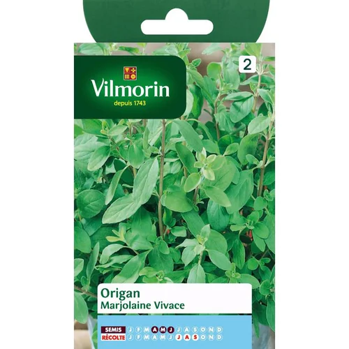 Utile au jardin:Origan Marjolaine Vivace Vilmorin - graines à semer