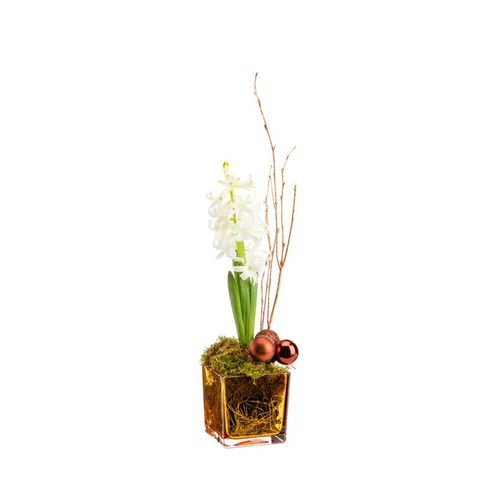 Essentiel extérieur：Jacinthe en verrerie bronze