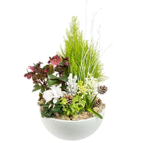 Pour faciliter le quotidien au jardin:Composition de Noël coupe graphique multicolore. La coupe blanche de 40 cm