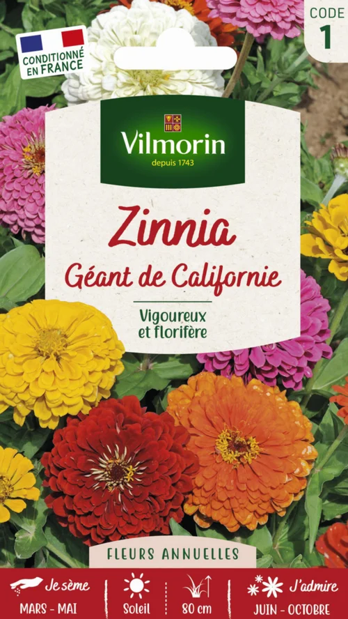 Pour tous les jours:Zinnia Géant de Californie Vilmorin - graines à semer