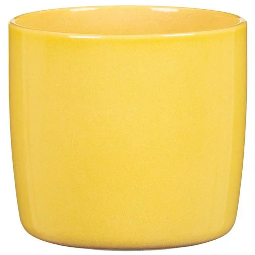 Qualité pour le jardin:Cache-pot en céramique jaune Scheurich 900 Solare - Ø 15 cm