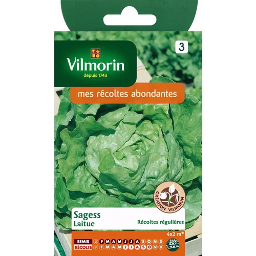 Nature extérieur:Laitue Sagess Vilmorin - graines à semer