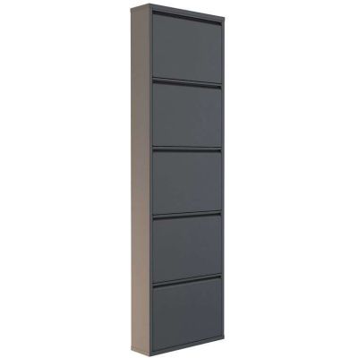Meuble à chaussures 5 portes en métal (Anthracite)