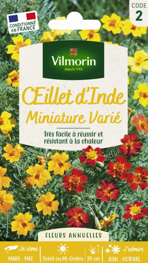 Pour tous vos besoins jardin:Œillet d'Inde miniature varié Vilmorin - graines à semer