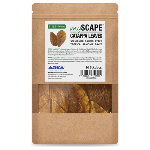 Pour votre extérieur:Feuilles de badamier taille S, ARKA myScape-Catappa - 10 pièces de 12,5/16 cm