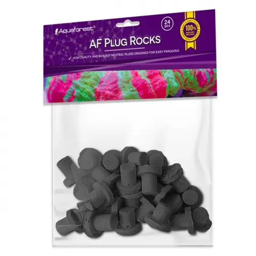 Pour profiter du jardin:Bouturage noir sur rock plug, AQUAFOREST, lot de 24 pièces