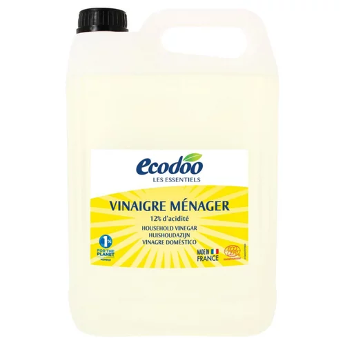 Esprit végétal：Vinaigre d'alcool blanc bidon 5 L